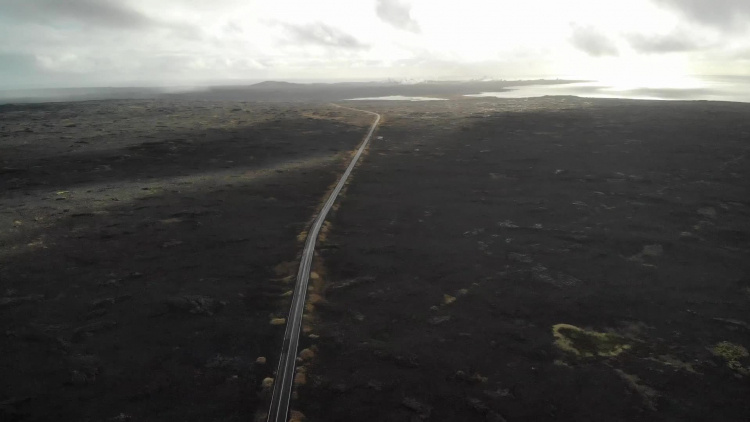 WodzenieNiedźwiedziaSporok2020.mp4