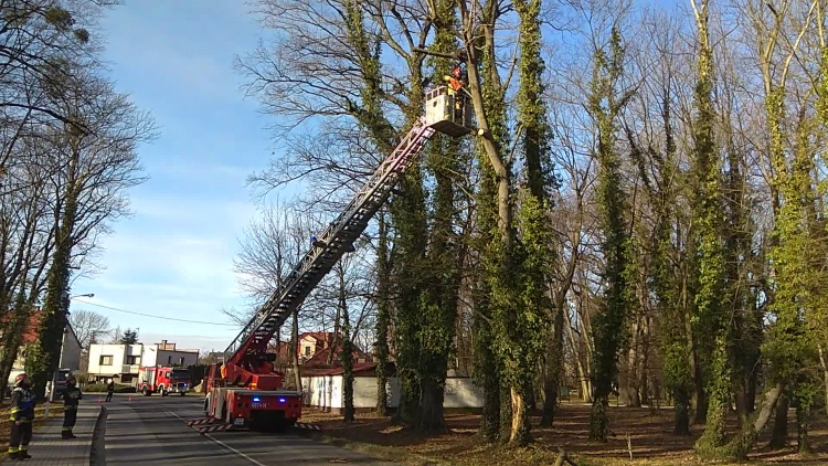 vid_20200115_114227.mp4