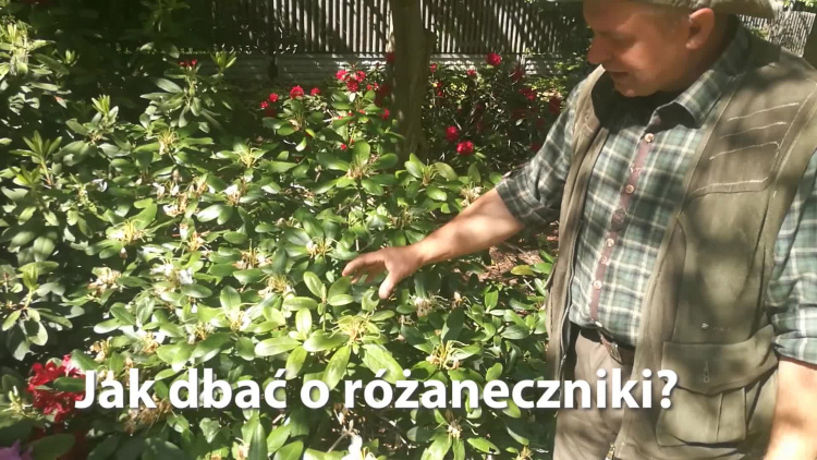 so_eko_jak_dbac_o_rozaneczniki.mp4