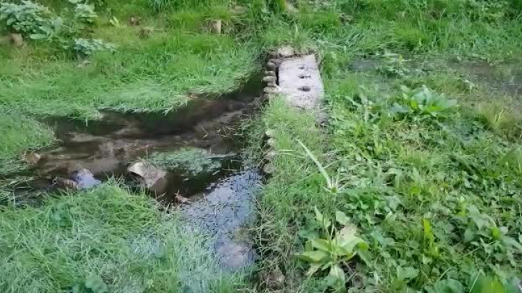 woda_gasiorowice_17.mp4